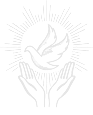 image (46)